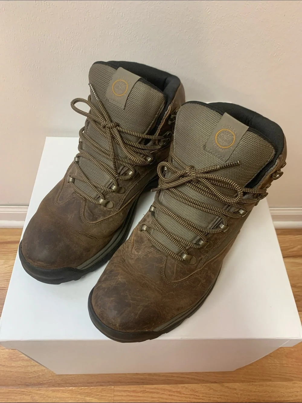 Timberland White Ledge Mid Hiking Boot
